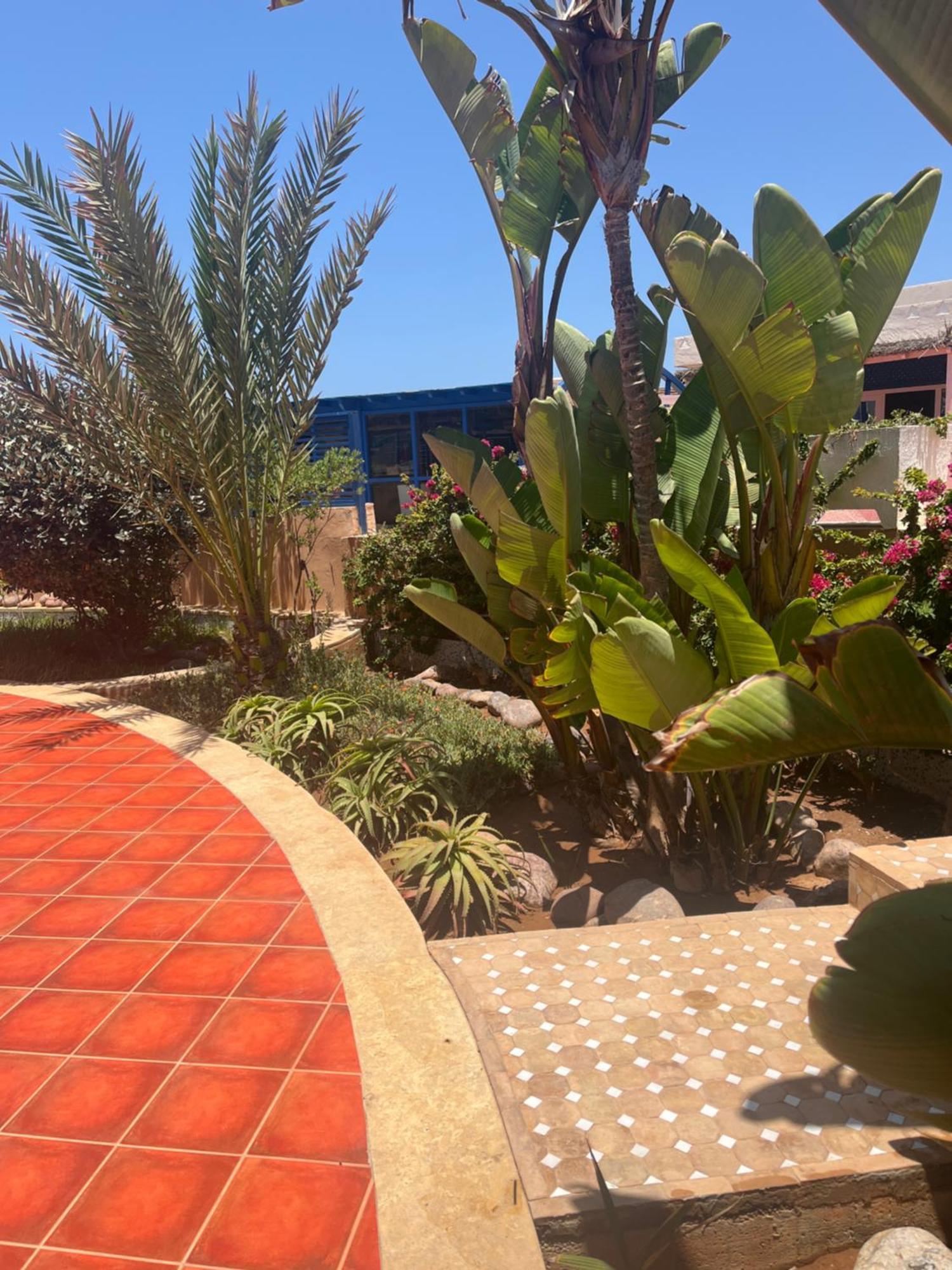Mimid Dunes Beach Otel Mirleft Dış mekan fotoğraf