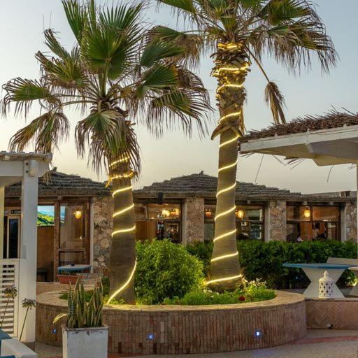Mimid Dunes Beach Otel Mirleft Dış mekan fotoğraf